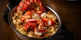 Lobster Mac & Cheese