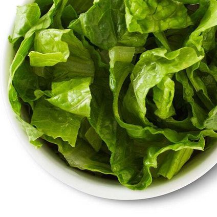 Romaine Lettuce