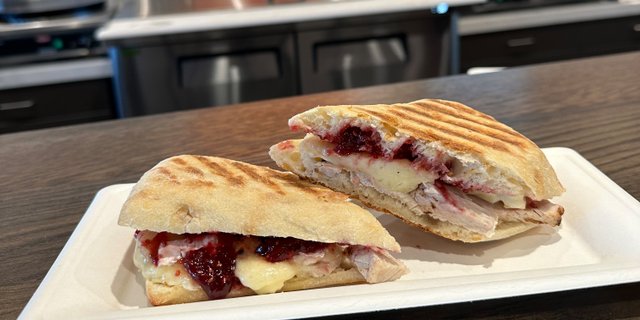 Turkey, Brie & Raspberry Panini