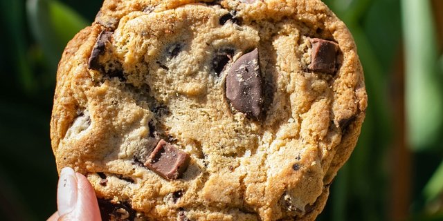Sandy's Amazing Chocolate Chunk Manifesto Cookie
