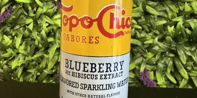 Topo Chico Sparkling Water Blueberry