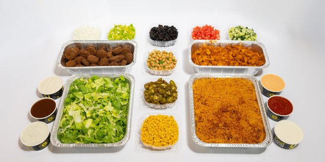 Deluxe Gyro Package