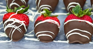 Maitland Chocolate Factory