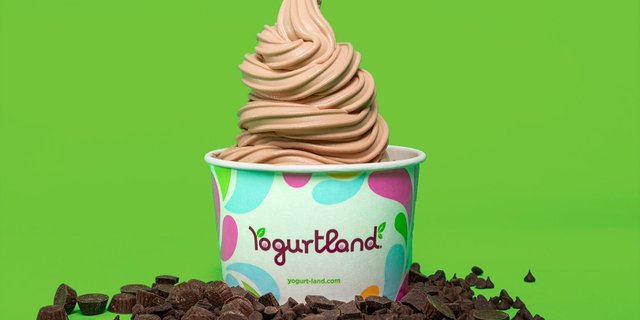 Dutch Chocolate Frozen Yogurt