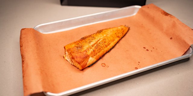 Salmon
