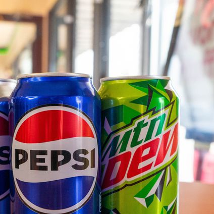 Assorted Individual Sodas