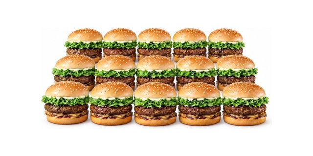 Teri Burgers