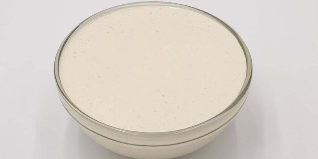Greek Yogurt Bleu Cheese Dressing