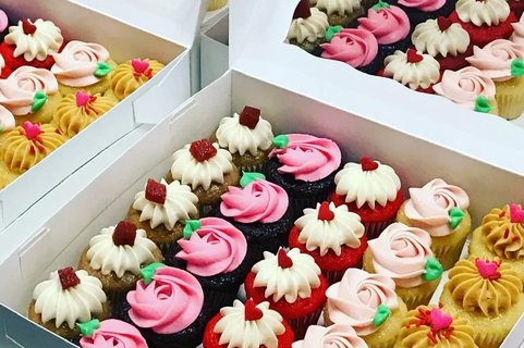 Four Dozen Mini Cupakes