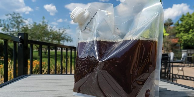 Black Tea