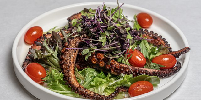Grilled Baby Pulpo