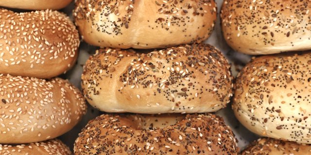 Our Bagel