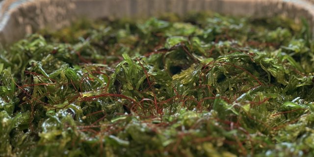 Seaweed Salad