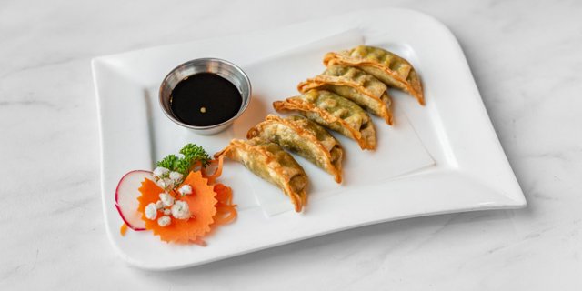 Gyoza Tray