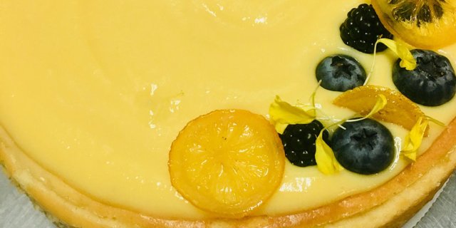 Puckered Up! Lemon Cheesecake
