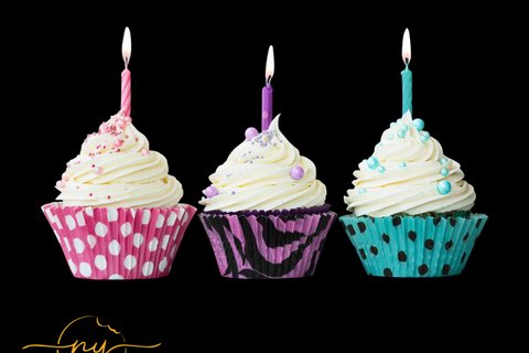 Cupcake 4-Pack