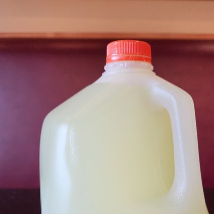 Gallon Lemonade