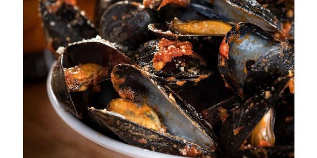 Mussels w/ Red Sauce