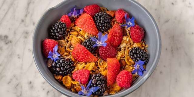 Chia  Bowl