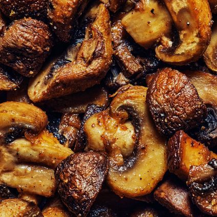 Warm Portobello Mix