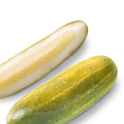 Pickle Bucket