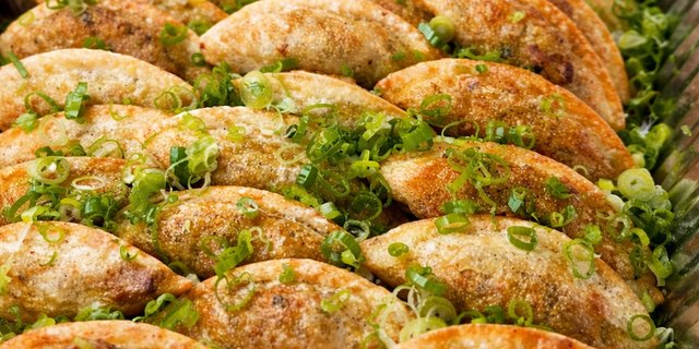 Fried Gyoza Tray