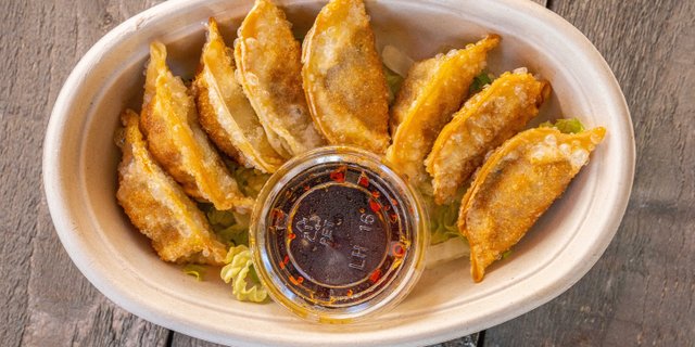 Vegetable Potstickers