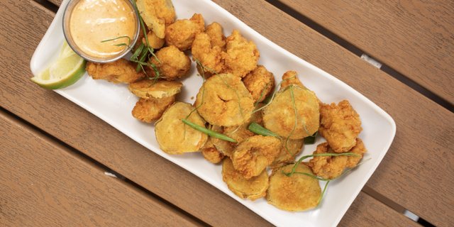 Gator Bites