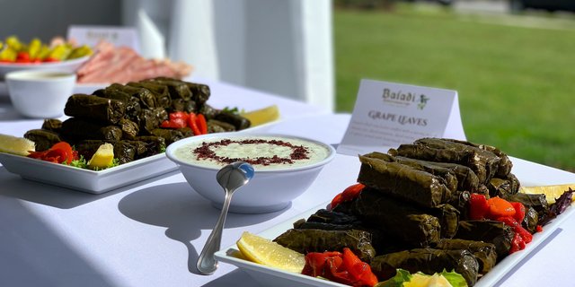 Vegetarian Dolmas (Grape Leaves)