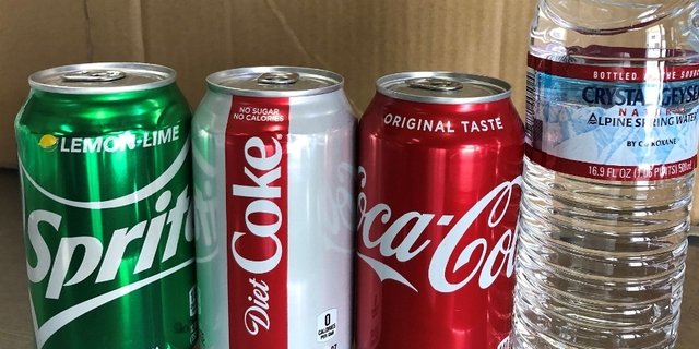 Assorted Individual Sodas