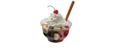 Bruster's Ice Cream