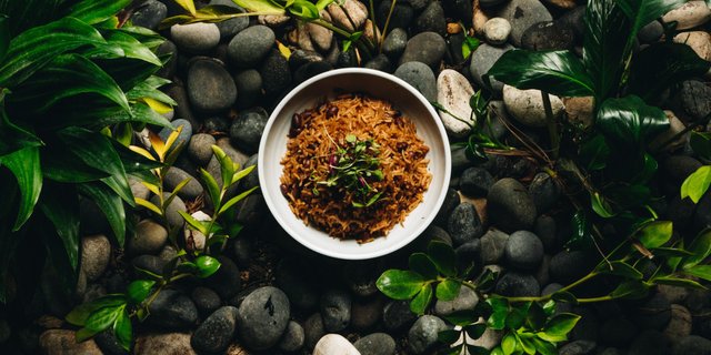 Rice & Beans