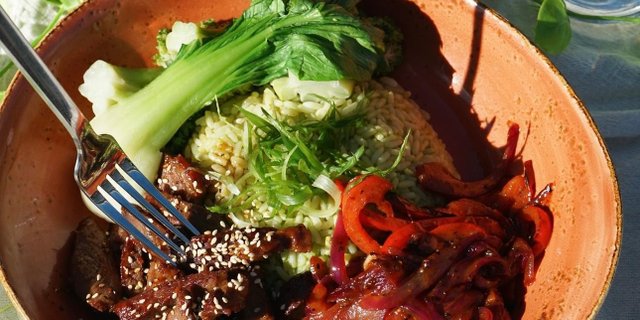 Steak Rice Bowl Tray