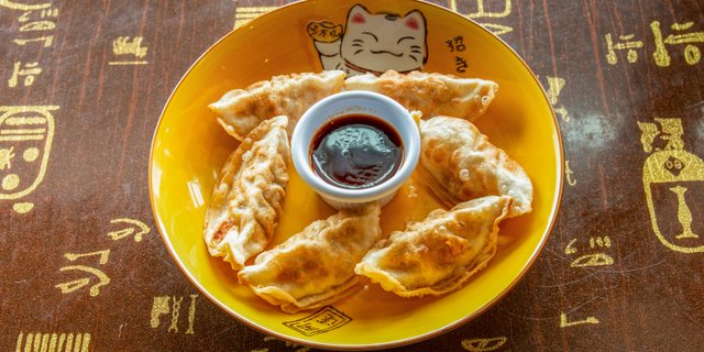 Fried Potstickers