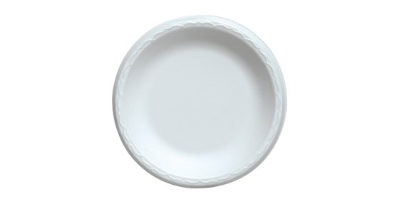 Disposable Plates (10)