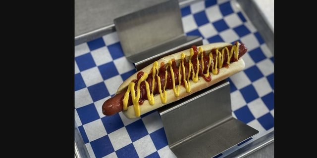 Plain Dog