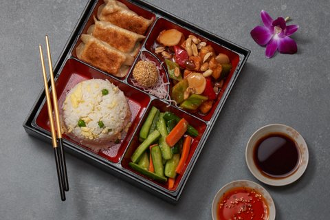 LS1 - Potsticker Meal One