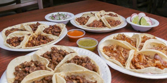 Taco Bar