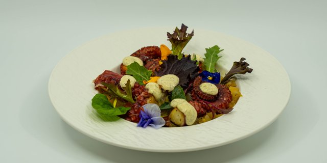 Aegean Grilled Octopus