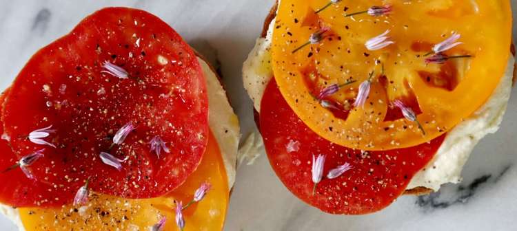Decent Bagel