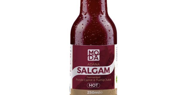 Salgam