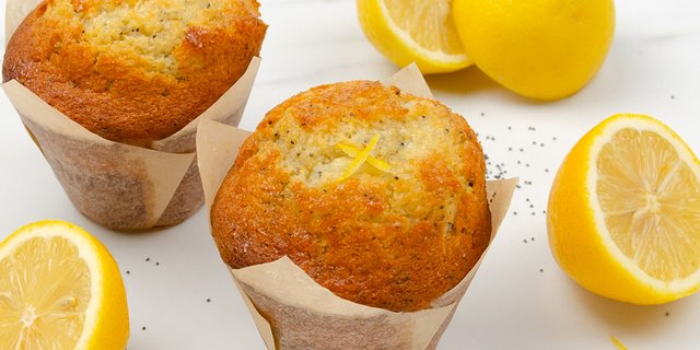 Lemon Poppy Seed Muffin