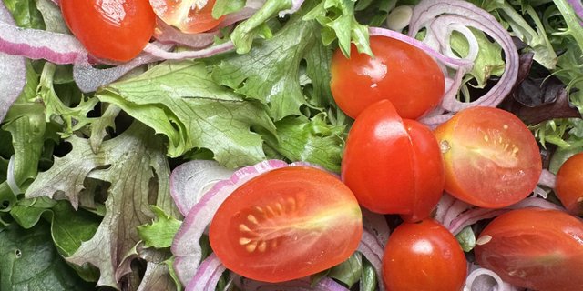 Garden Salad