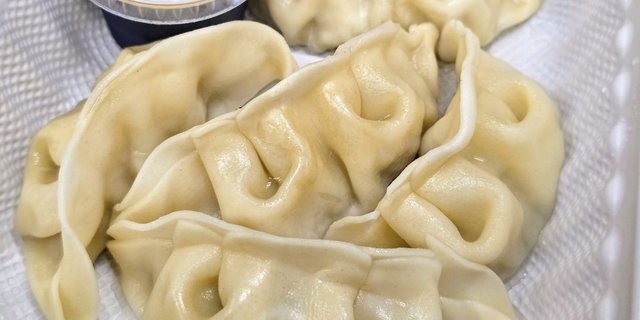 Steamed Gyoza Dumplings