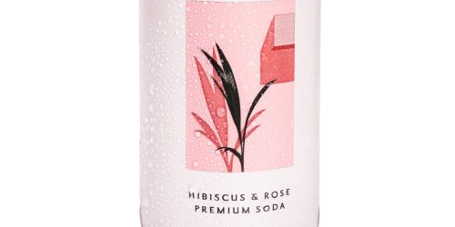 S&N Hibiscus