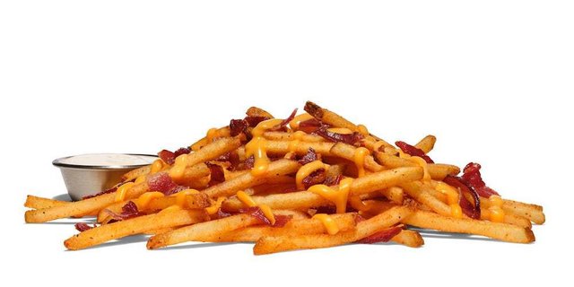 Loaded Fries