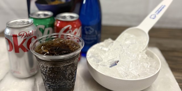 Assorted Individual Sodas