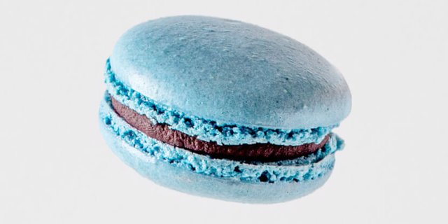 Blueberry Macaron