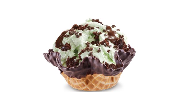 Mint Mint Chocolate Chocolate Chip