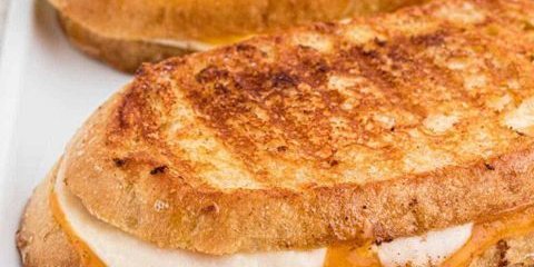 Grilled Cheese Panini
